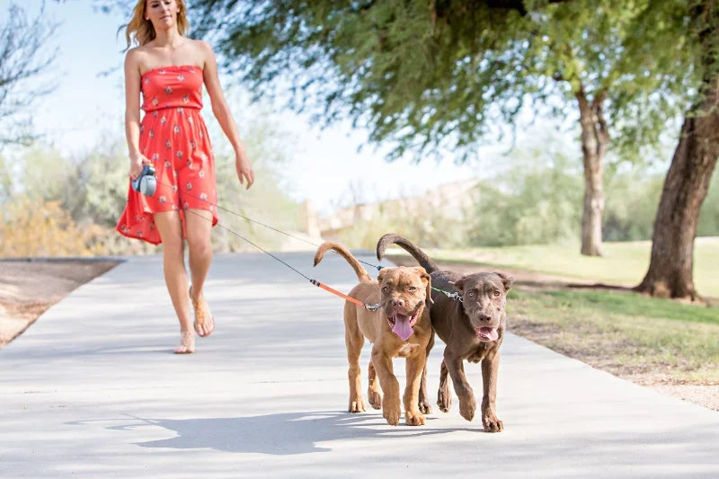 3M Retractable Double Dog Leash with LED Light