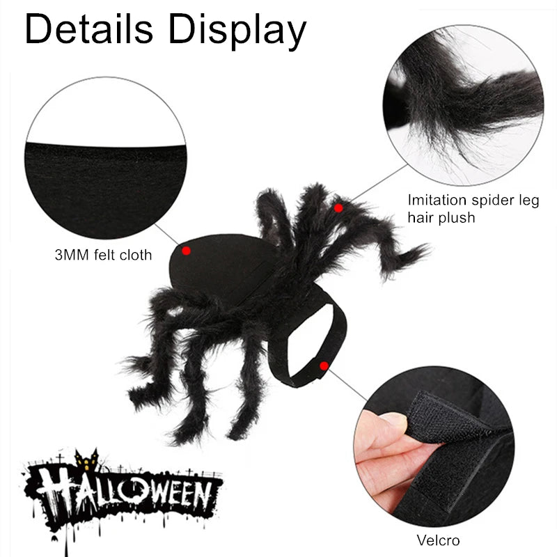 Halloween Spider Costume for Cats & Dogs