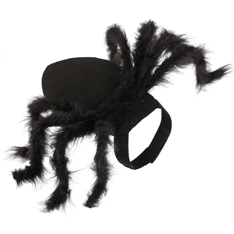Halloween Spider Costume for Cats & Dogs