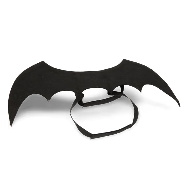 Halloween Bat Wings Costume for Pets
